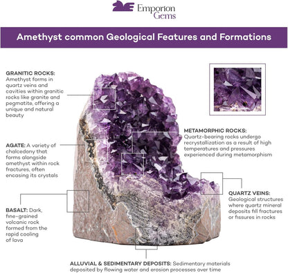 Natural Amethyst (2 Lb to 3 Lb) - 4" to 7" Height - Crystal Clusters Stone from Uruguay Raw Geode Quartz - Deep Purple Color