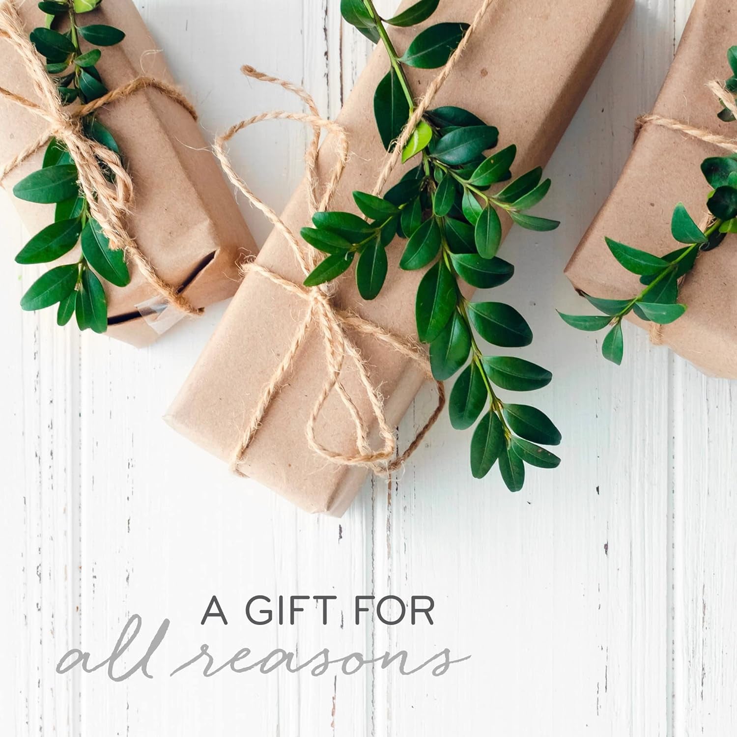 Petite Reed Diffuser - 4 Fl Oz - Mandarin Coriander